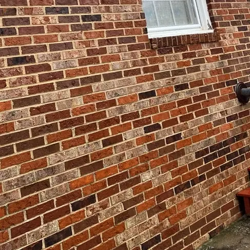 The same brick wall after soft washing, mildew gone and the brick color restored