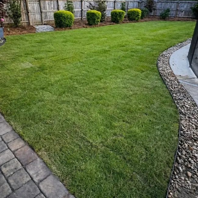 Augusta backyard after grading and new sod, with a paver border and fresh mulch beds along the fence