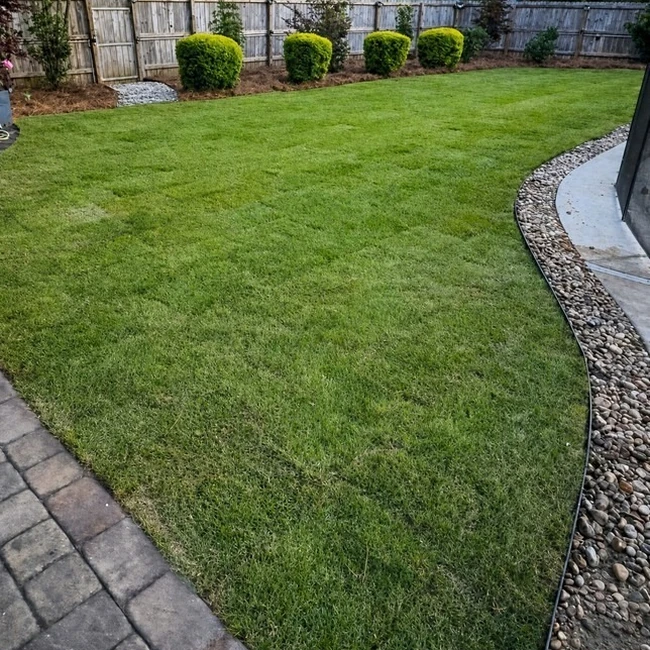 After: new sod lawn install