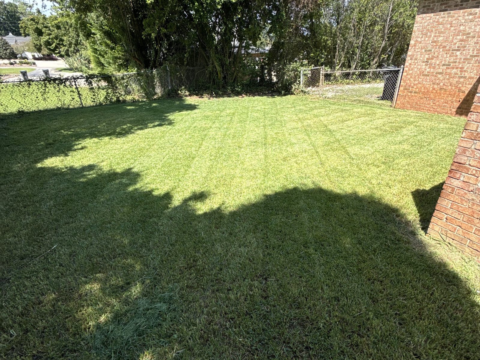Fresh-cut backyard lawn with mowing stripes