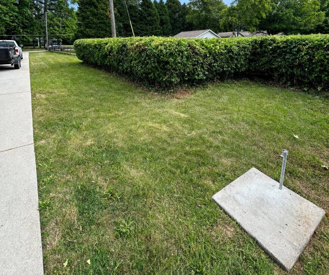 Freshly trimmed hedge row by Anything Exterior