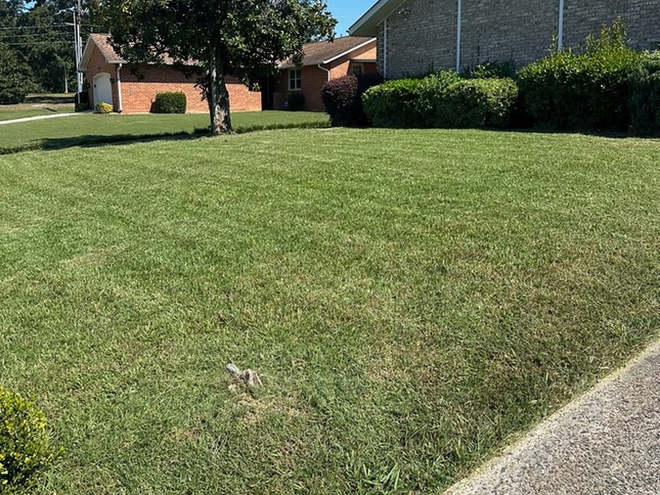 Commercial property lawn mowed and trimmed