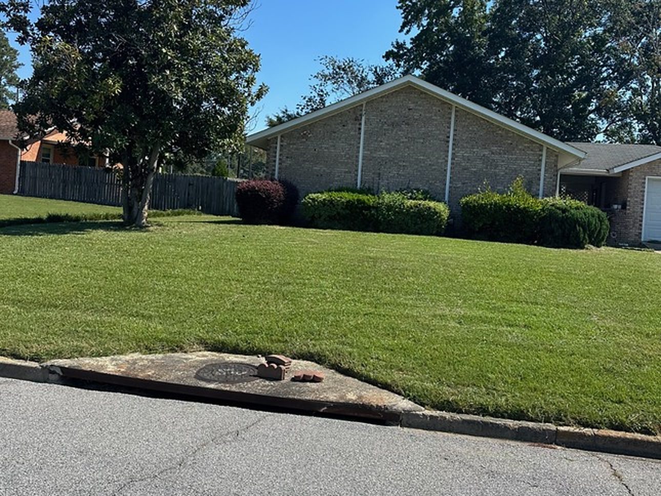 Commercial lawn with trimmed shrubs