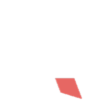 Anything Exterior logo
