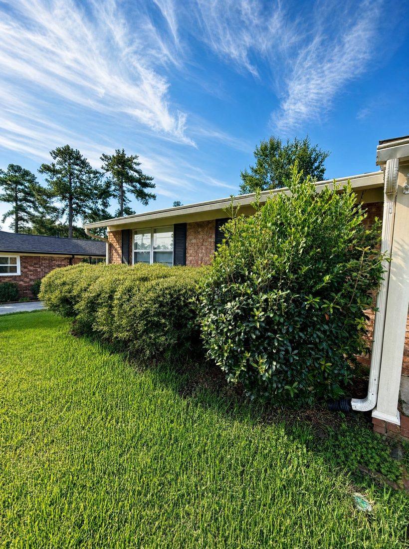 Shrub work by Anything Exterior
